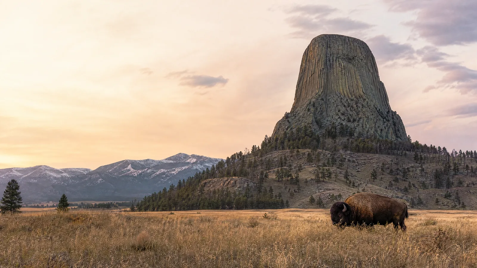 Devils Tower rising above the Wyoming prairie