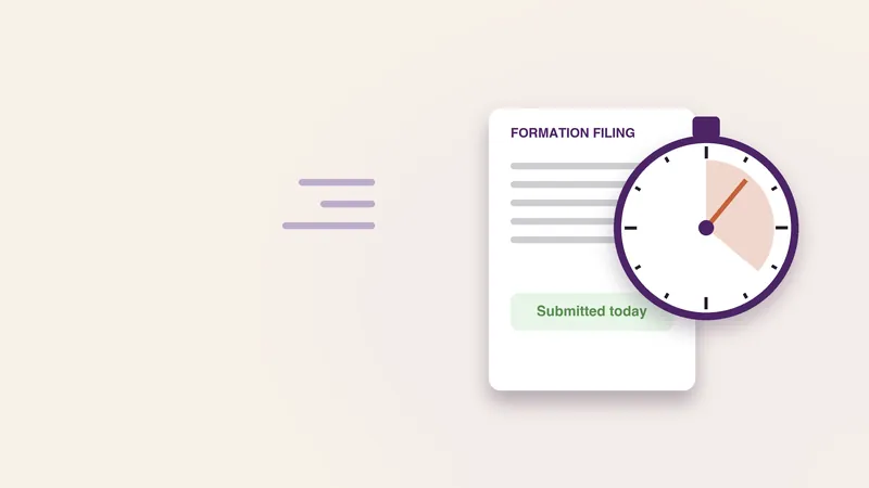 Rush Processing for US Company Formation service by BookMyLLC